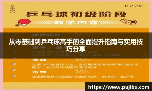 JJB竞技宝