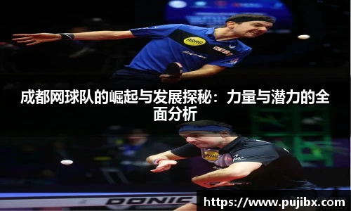 JJB竞技宝