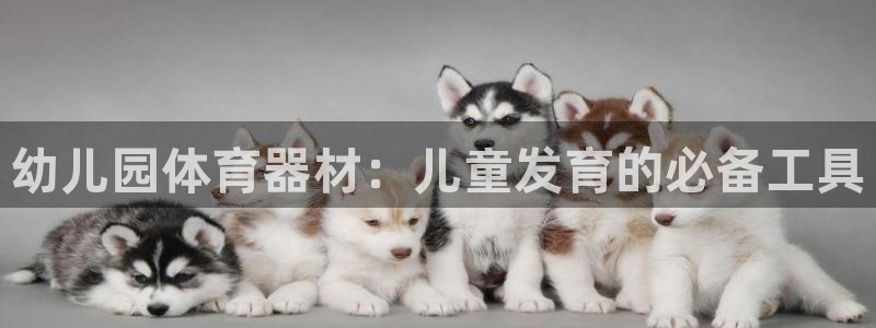 耀世集团视频介绍:幼儿园体育器材:儿童发育的必备工具