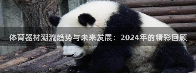 耀世雷霆下载:体育器材潮流趋势与未来发展:2024年的精彩回